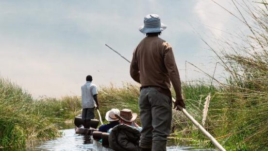 Two people pole long, thin canoes through a grassy marshland with passengers seated inside on a luxury Africa vacation