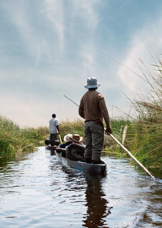 Two people pole long, thin canoes through a grassy marshland with passengers seated inside on a luxury Africa vacation