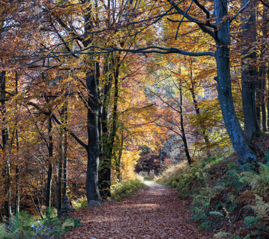 Oasi Zegna Park