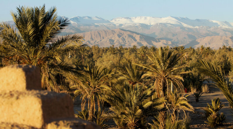 View of palm trees and the Atlas mountains from the roof of a Kasbah in Skoura, Morocco.