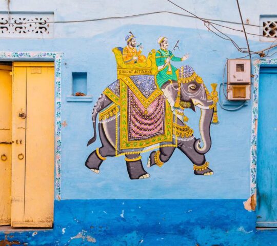 Colours and creativity in abundance