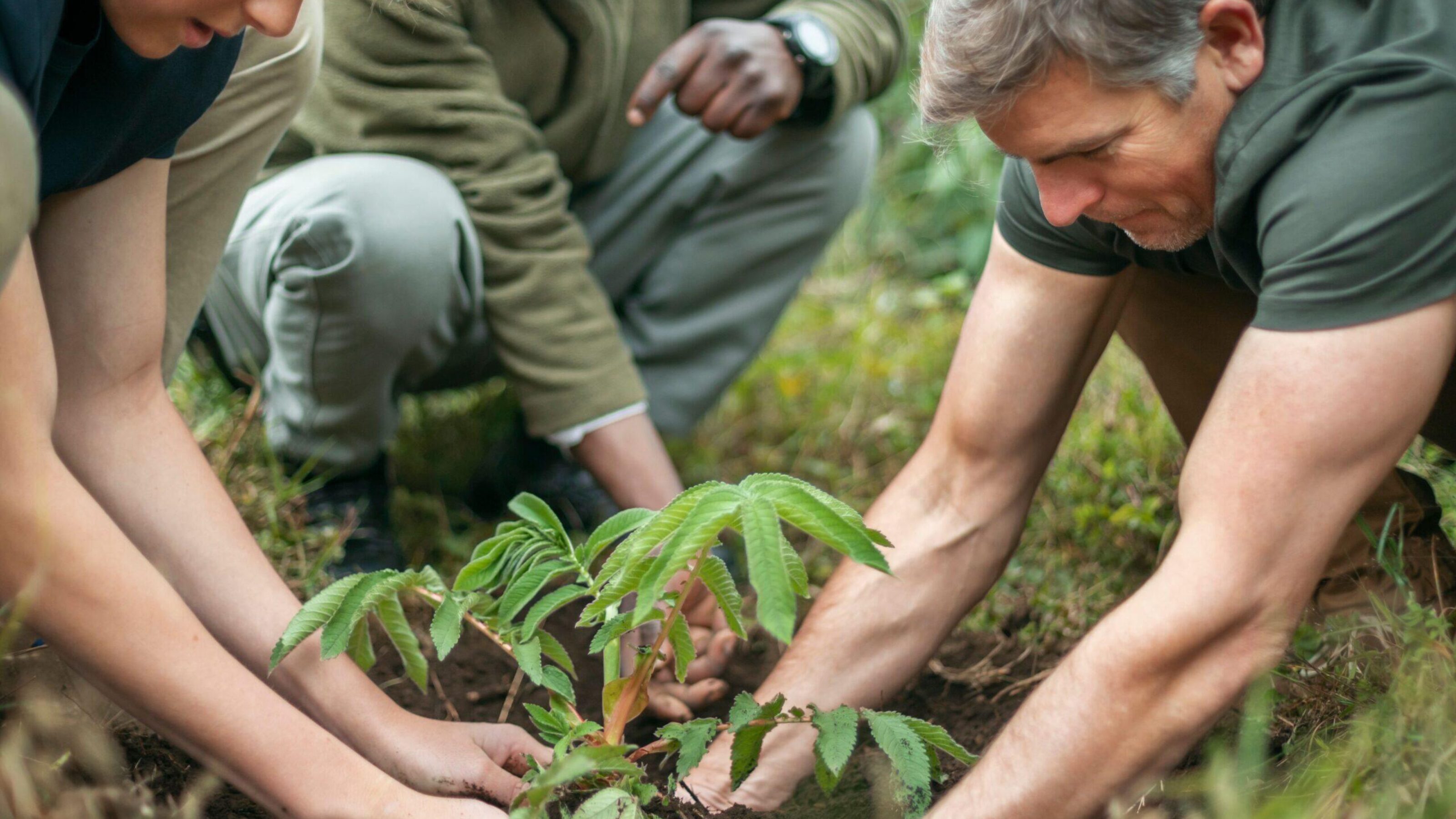 Awaken Your Senses in Tanzania and Rwanda