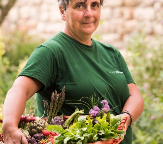 Farm-to-table