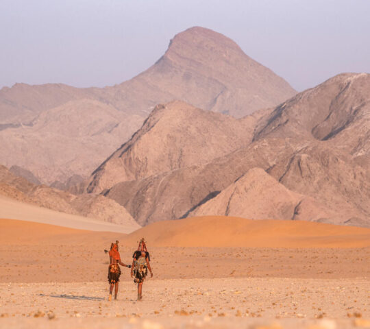 Take privately guided walks and drives