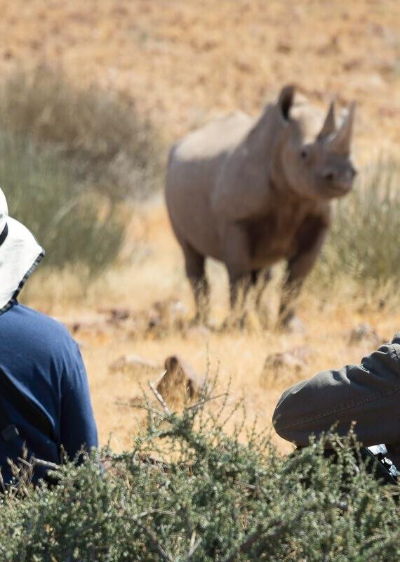 Track rhinos in Namibia