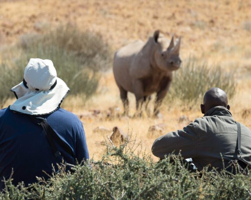Rhino tracking at Desert Rhino camp