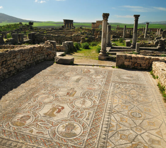 Mosaics at Volubilis