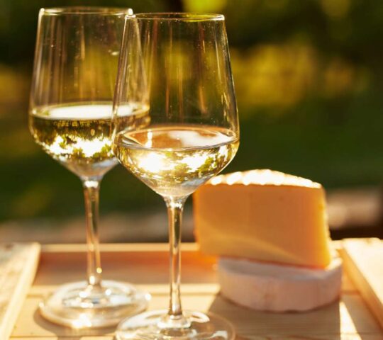 Mouthwatering cheese and wine in Piedmont