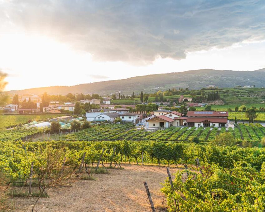 A pause in the Valpolicella wine region