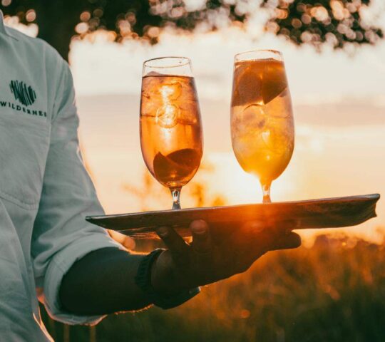 Sundowners with Wilderness as the day comes to a close