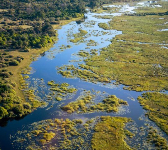 The Delta as seen from above