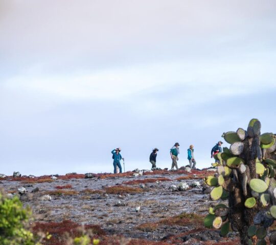 Setting off on a nature hike
