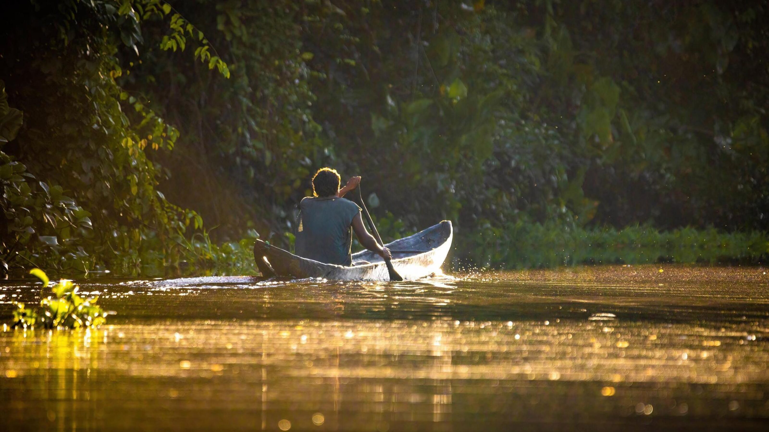 Scenic view of fisherman in canoe at orange sunrise on the Amazon River, Ecuador