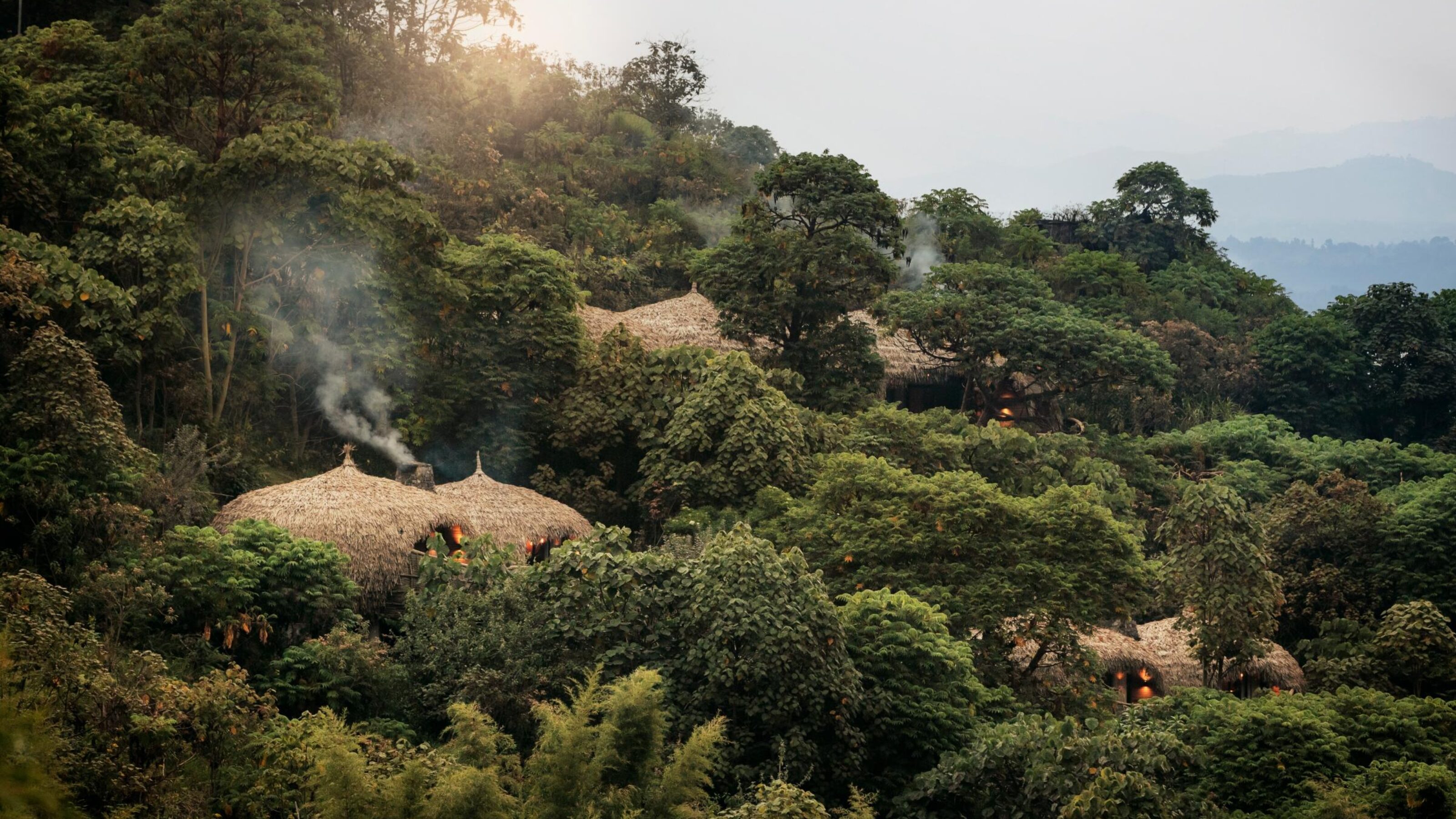 Complete Safari and Gorilla Adventure in Rwanda