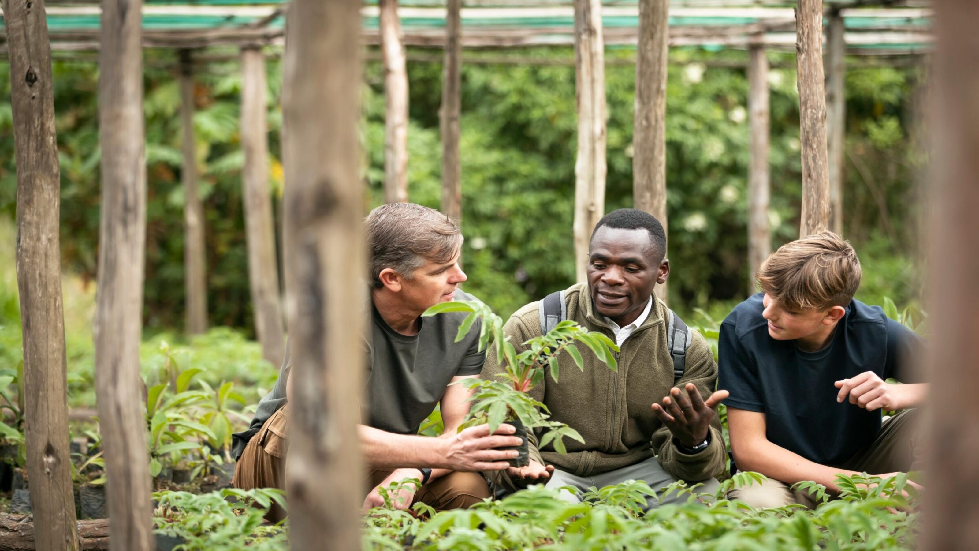 Complete Safari and Gorilla Adventure in Rwanda