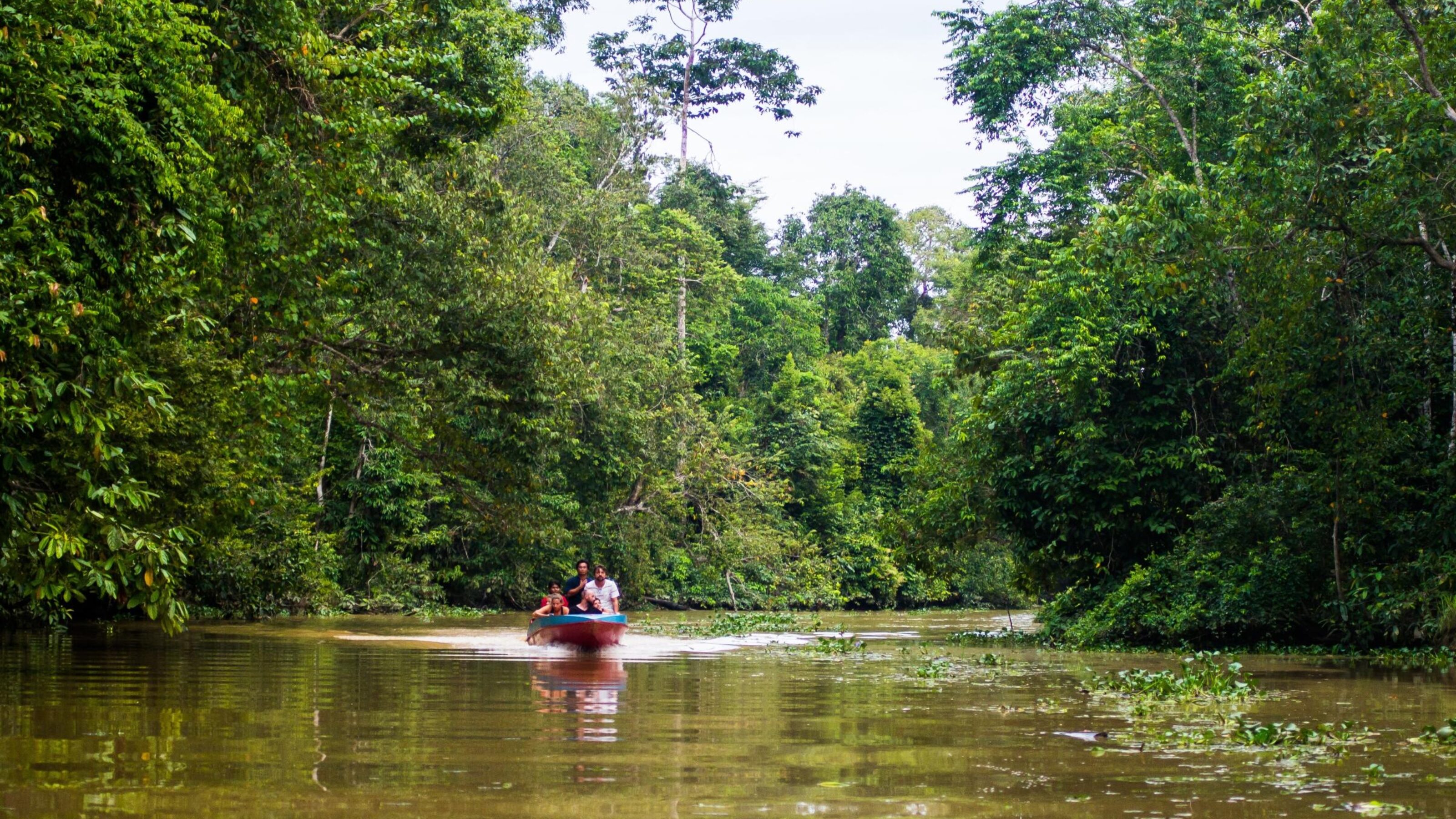 A small motorboat carries passengers down a narrow brown river surrounded by thick, vibrant green jungle foliage.