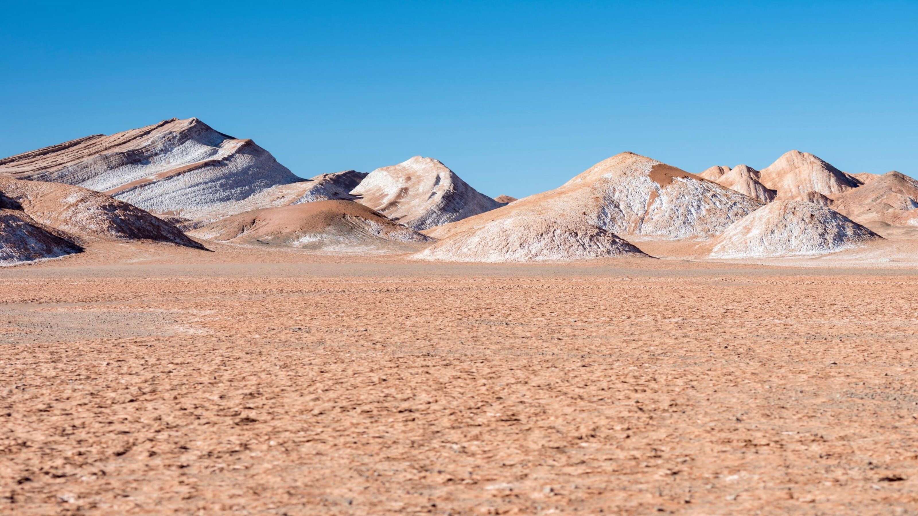 Adventure Across Northwest Argentina