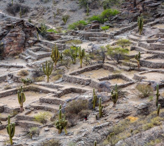 Explore the Quilmes Ruins