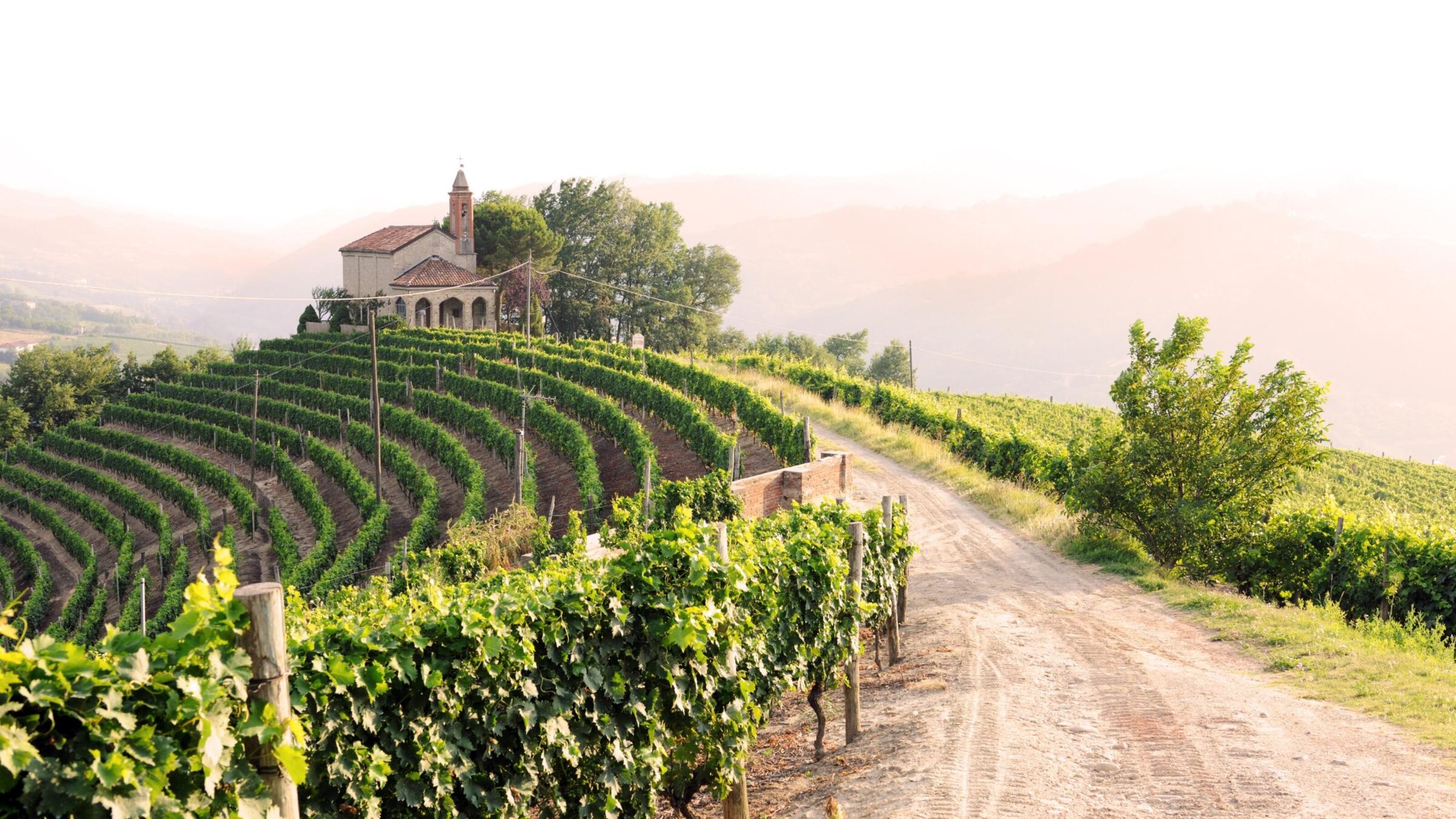 A Culinary Journey Through Incredible Italy