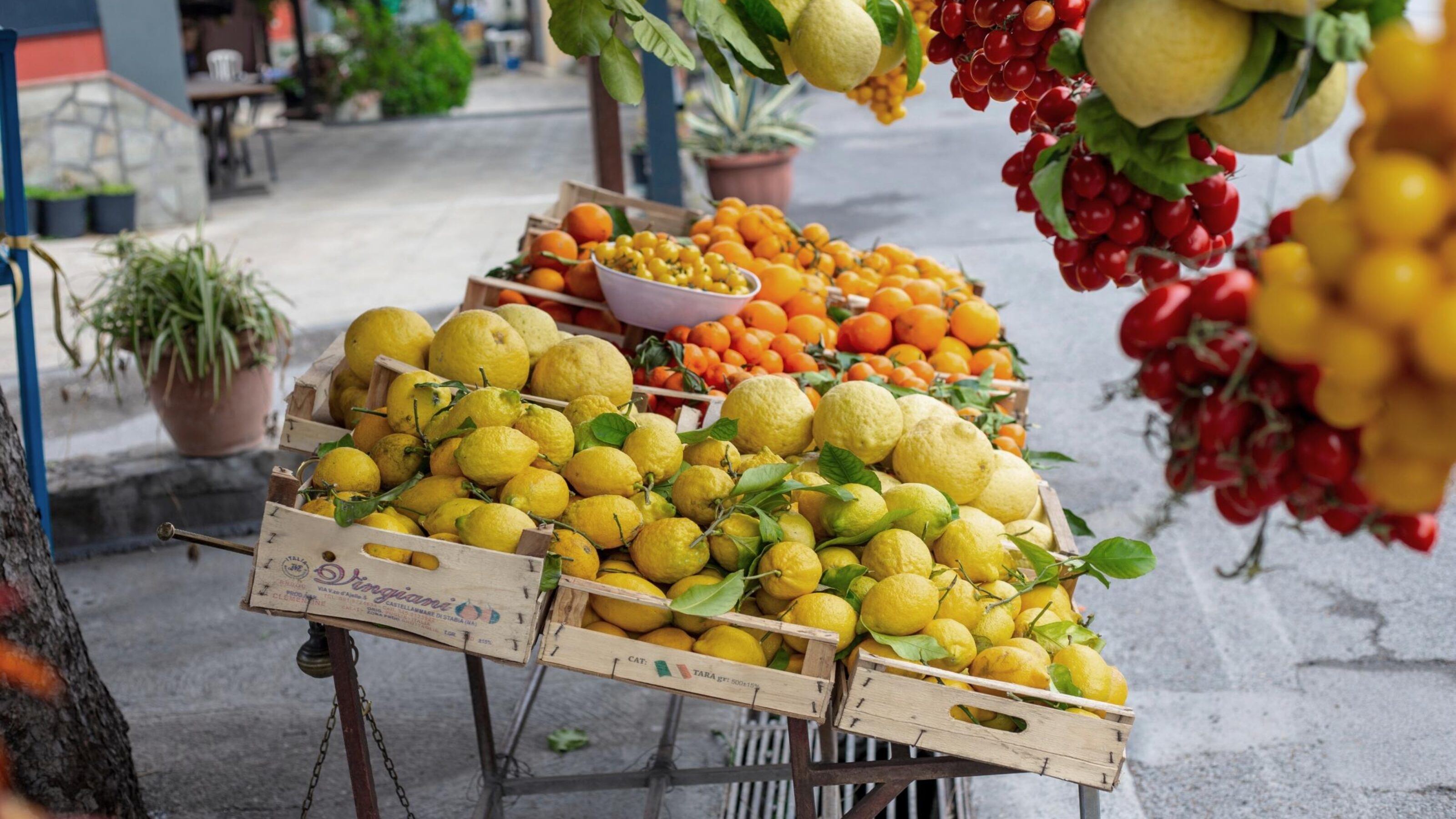 A Culinary Journey Through Incredible Italy