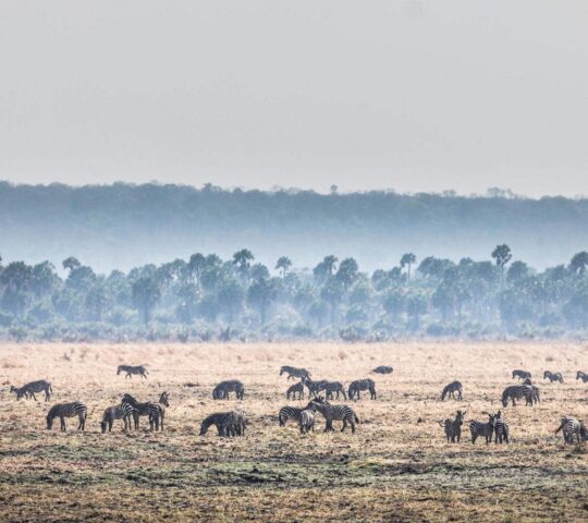 Admire views across Chada Plain