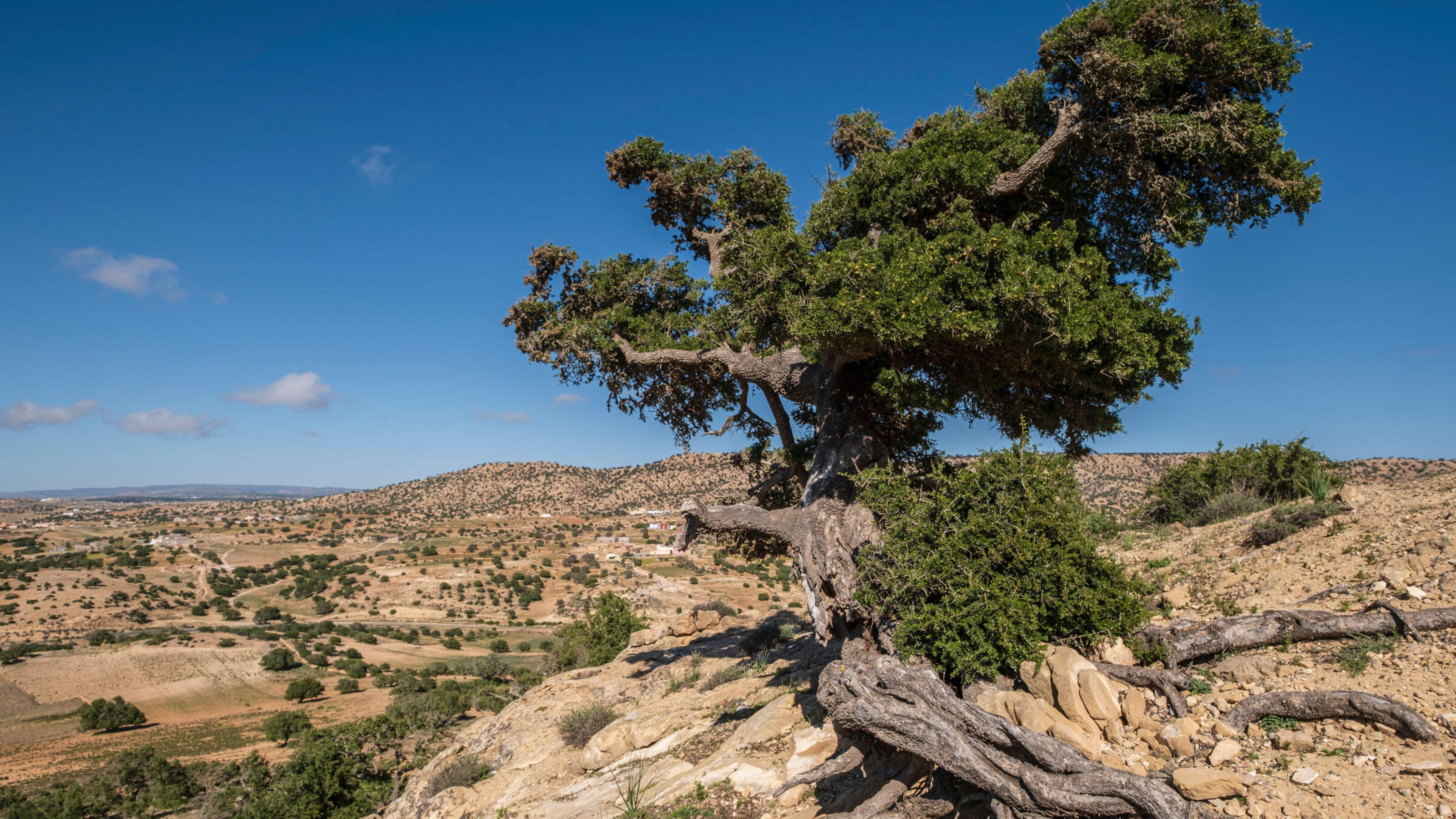 Active Morocco