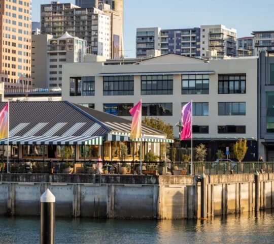 Auckland's vibrant waterfront