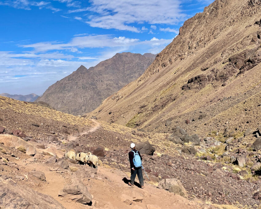 Mountain trekking
