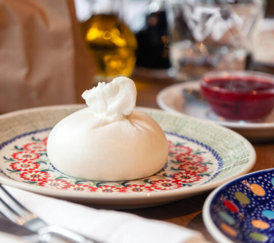 Italian burrata