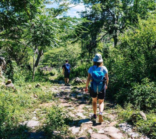 Hikers on the ancient cobbles of the Camino Real