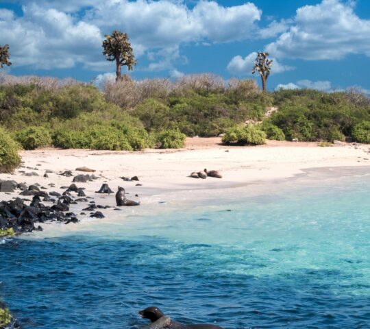 Cruise around the Galapagos Islands