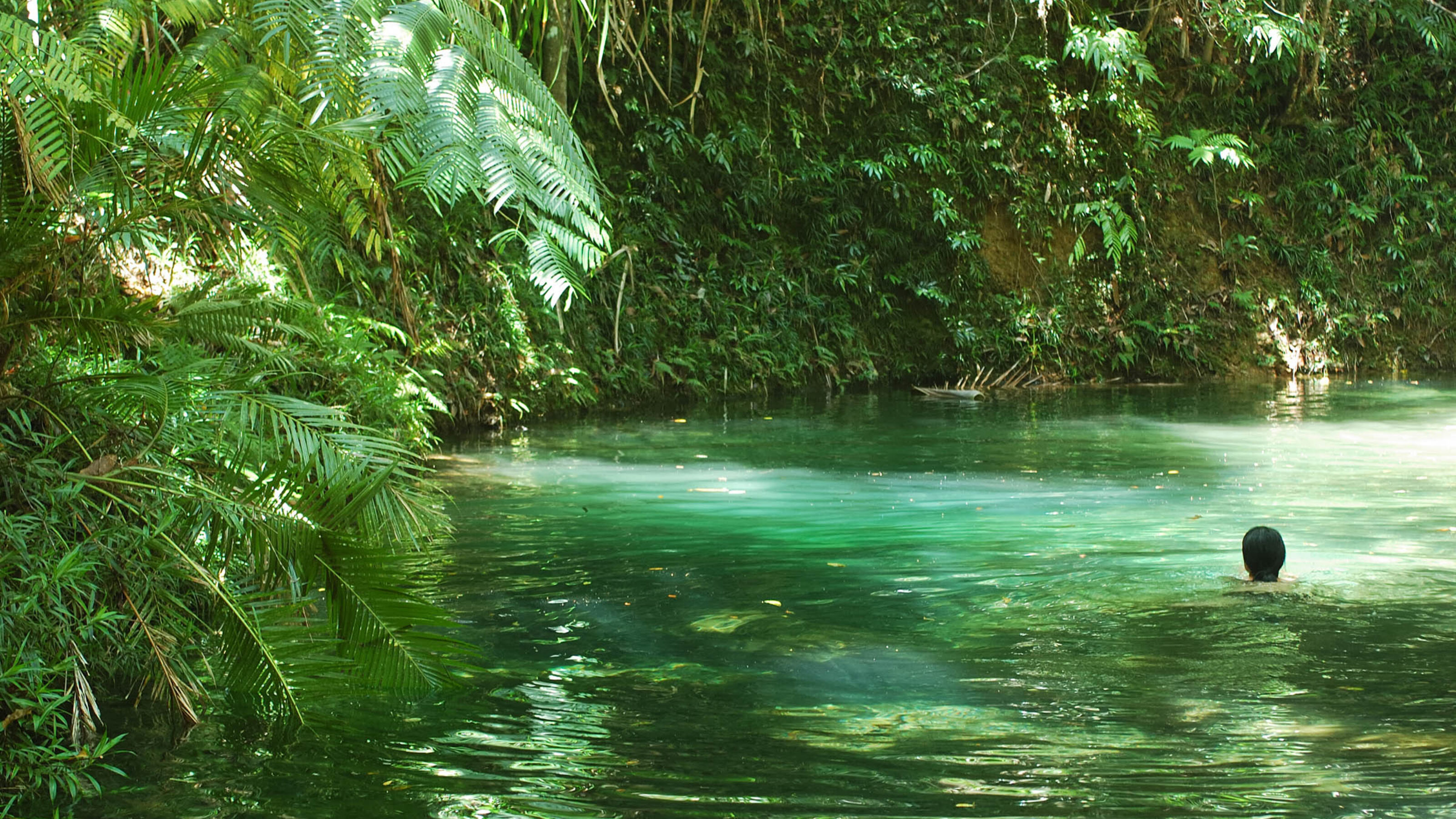 A swimmer in a serene jungle swimming hole with sunlight filtering through thick green palm leaves and trees.
