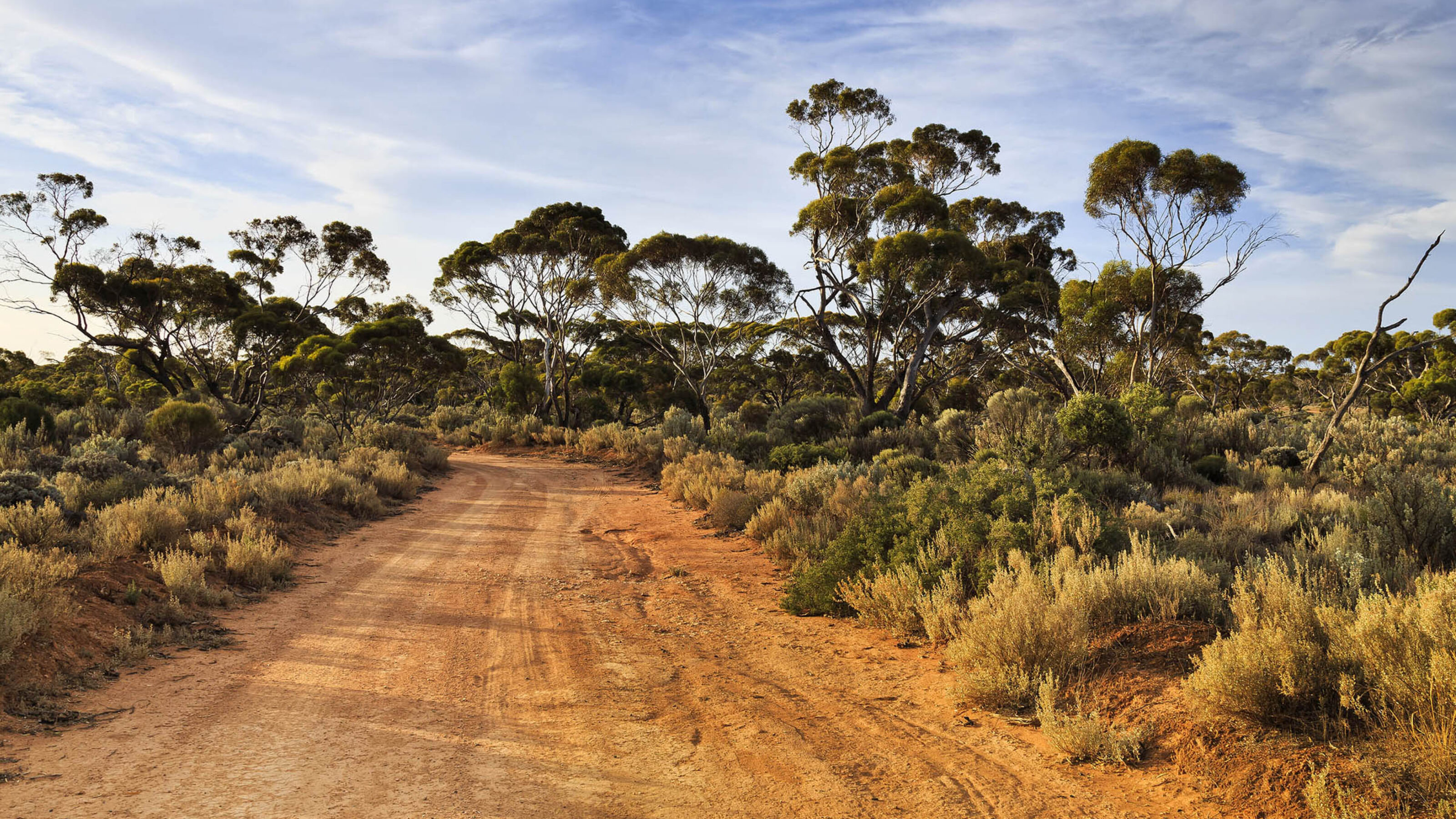A rural dirt road cutting through Australian bushland with sparse trees and orange soil under a blue, wispy sky.