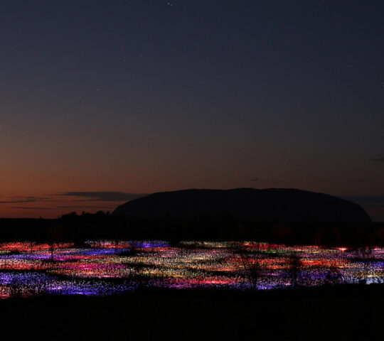 The Field of Light installation lights up Uluru by night
