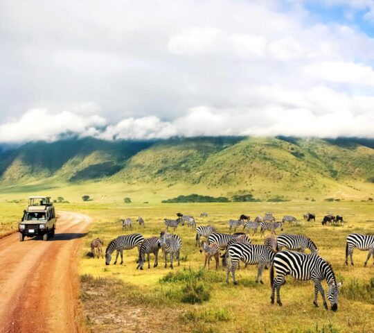 Explore the Ngorongoro Crater