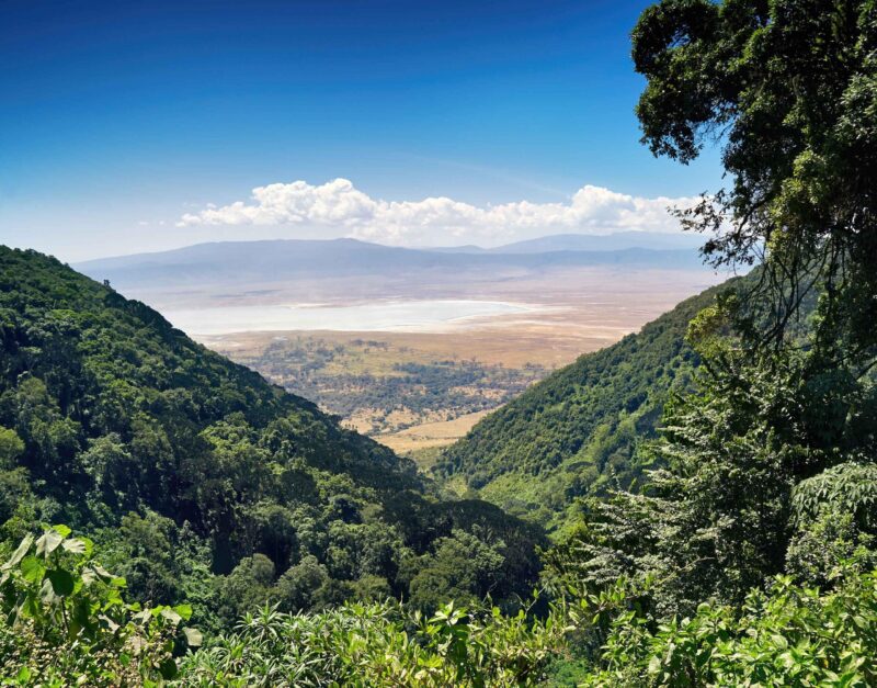 A panoramic view of the crater floor and lake from the forested rim during a luxury Ngorongoro Crater safari.