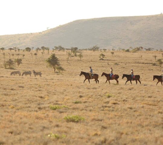 Travellers staying at Lewa House try a horse riding safari