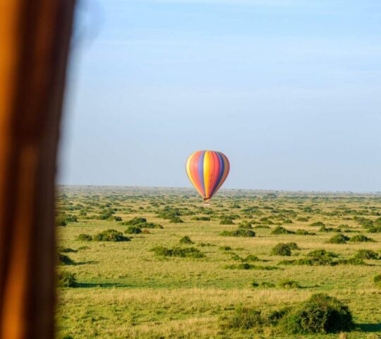 A hot air balloon ride across the Maasai Mara