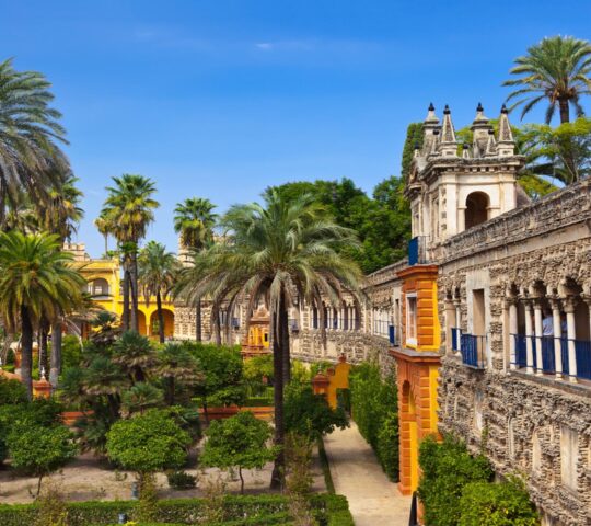 Amid the gardens of the Royal Alcazar in Seville