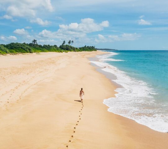A lone walker on the sandy beaches of Tangalle