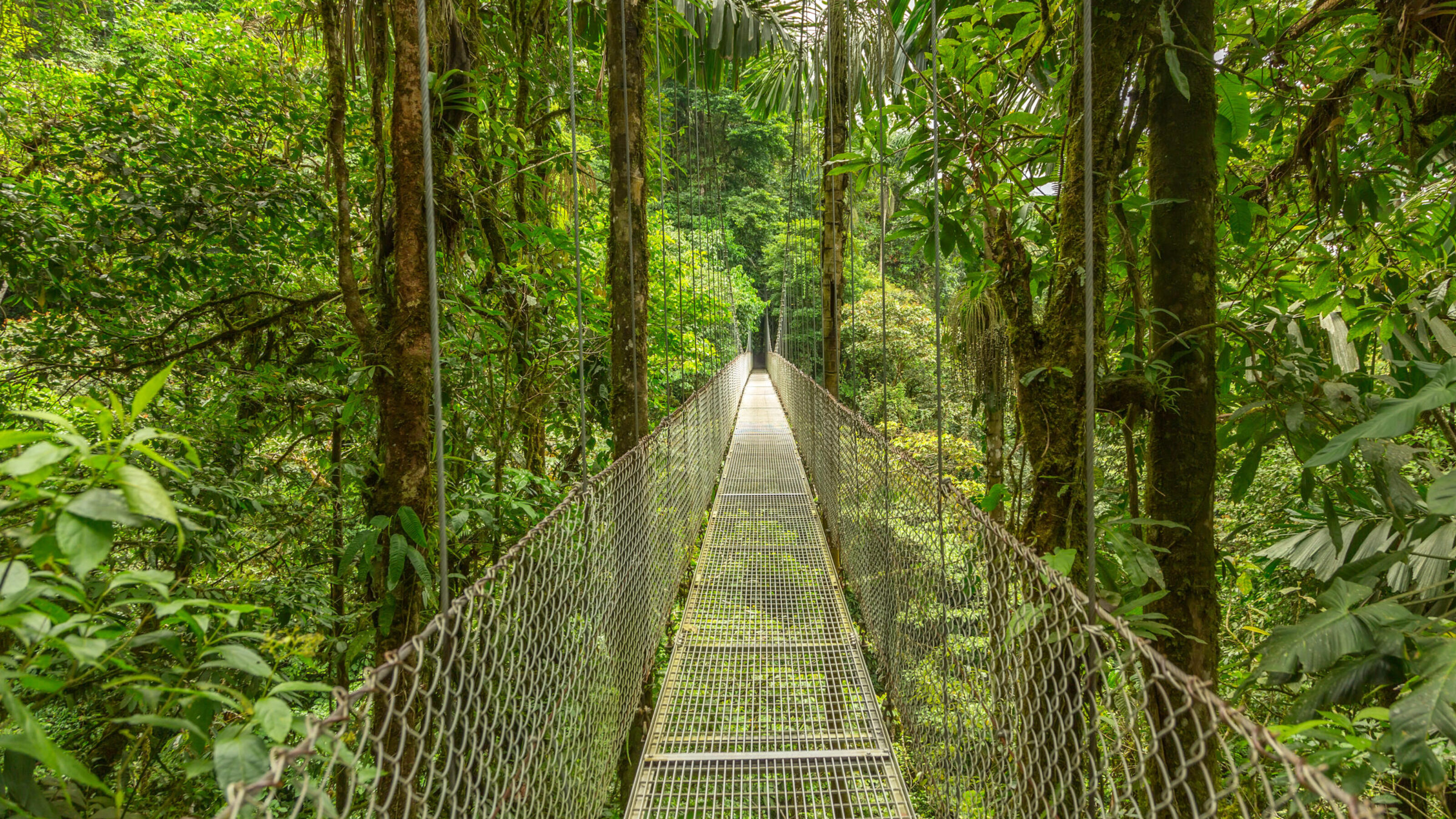 Classic Costa Rica: Volcanoes, Cloud Forests and the Pacific Coast