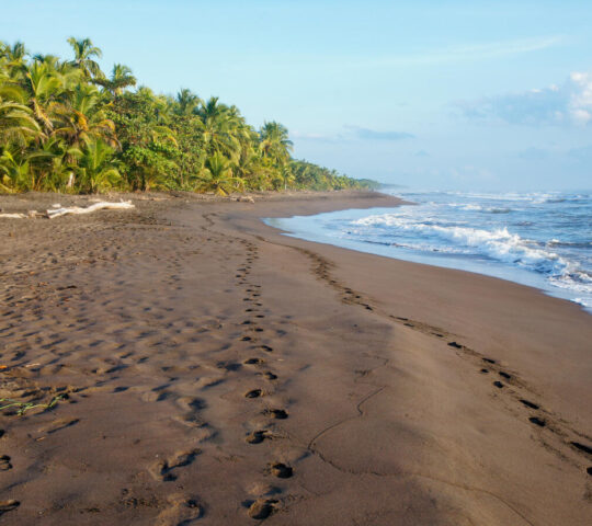Enjoy a peaceful morning at Tortuguero Beach