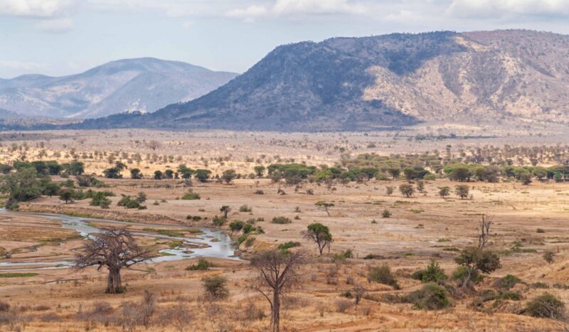 Africa, Tanzania, Ruaha National Park. View of the landscape in Ruaha National Park.