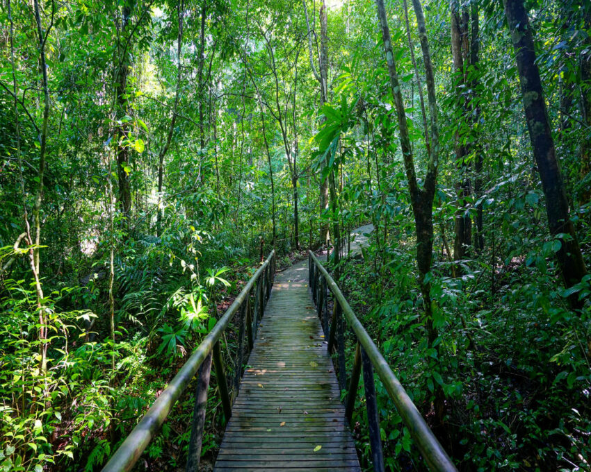 A trekking adventure through Manuel Antonio National Park