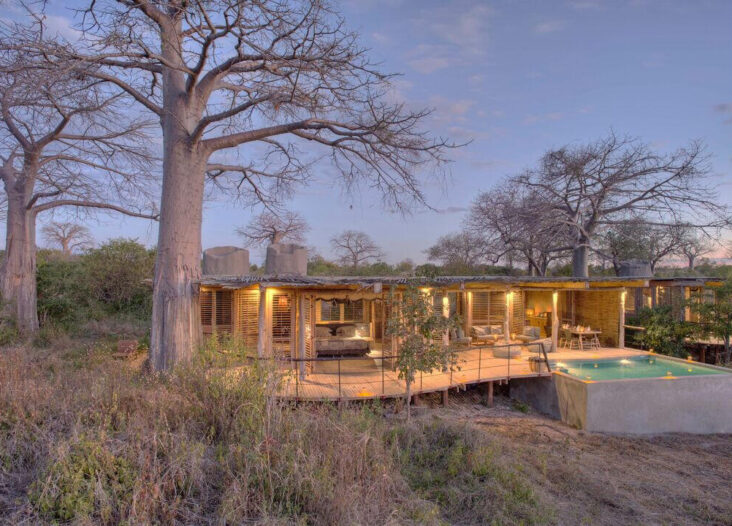 Kwihala Camp | Luxury Hotel In Tanzania