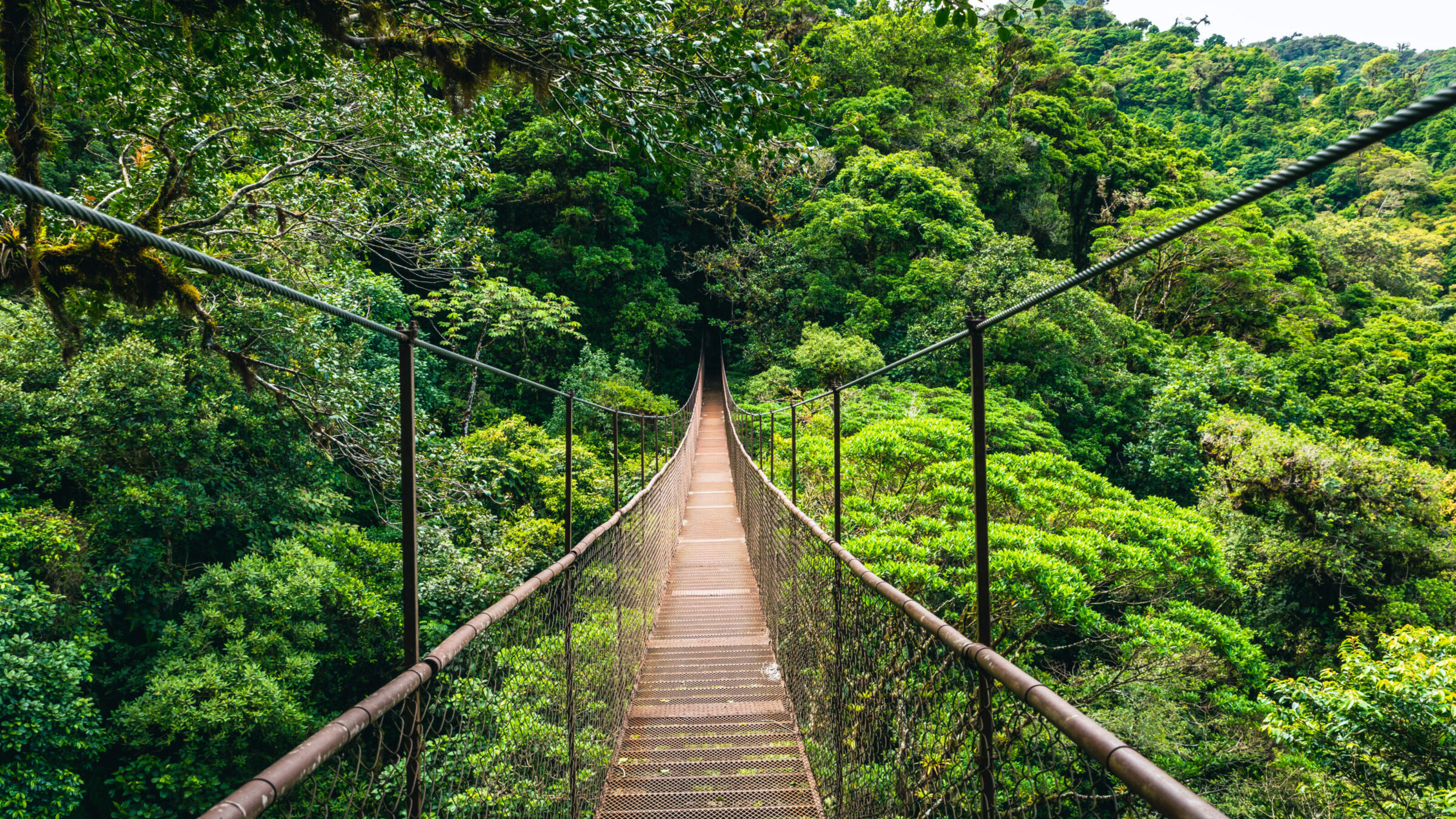 Costa Rica Wildlife Explorer