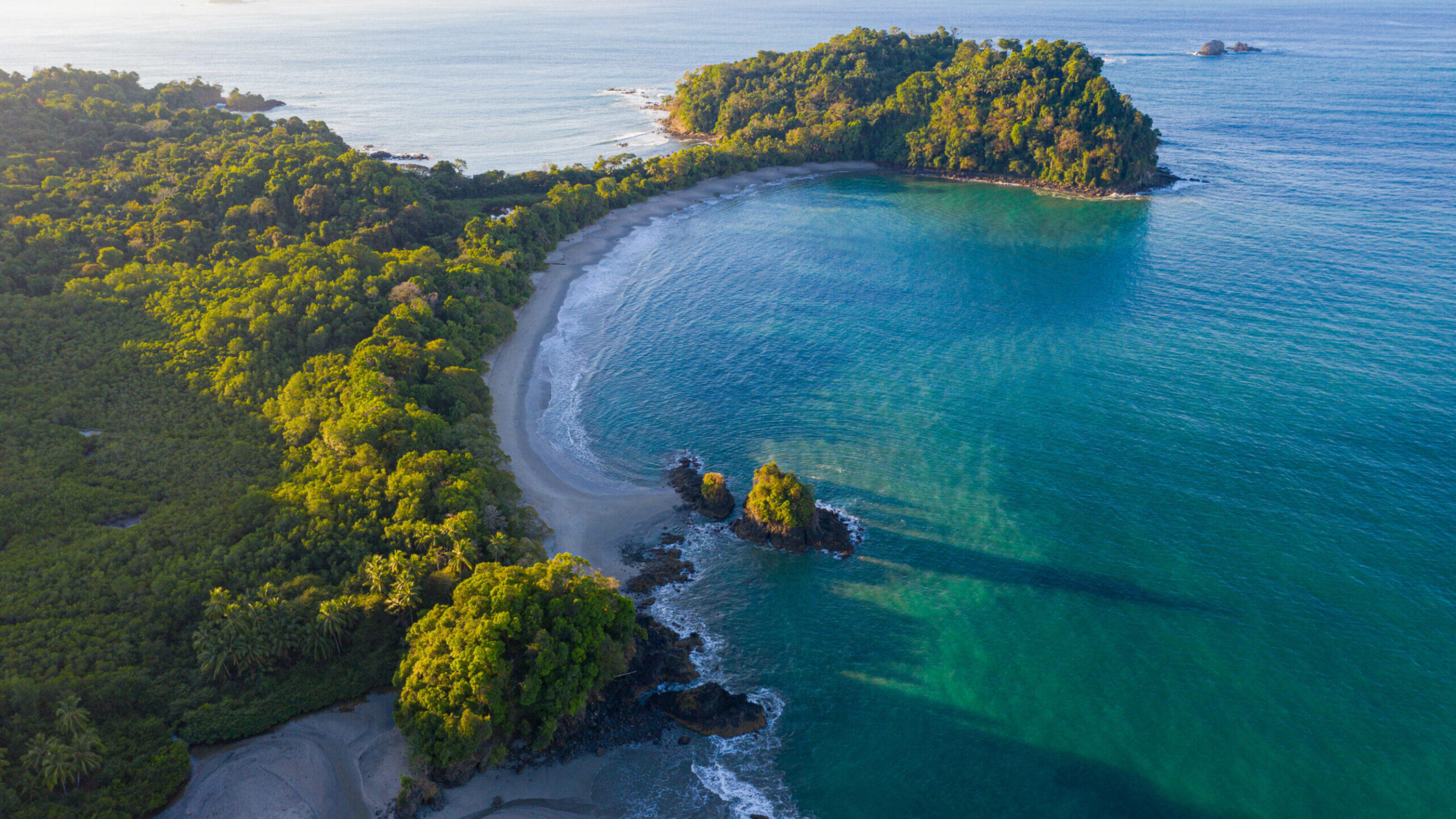 Costa Rica Wildlife Explorer