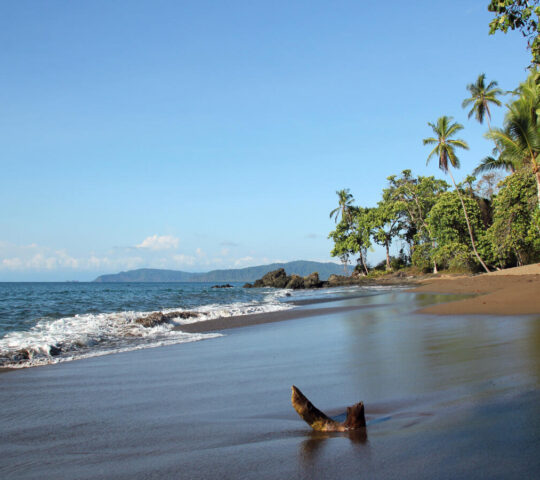 Peaceful morning in the Osa Peninsula