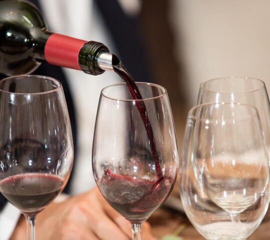 Savour the delicious wines of Mendoza's central valley
