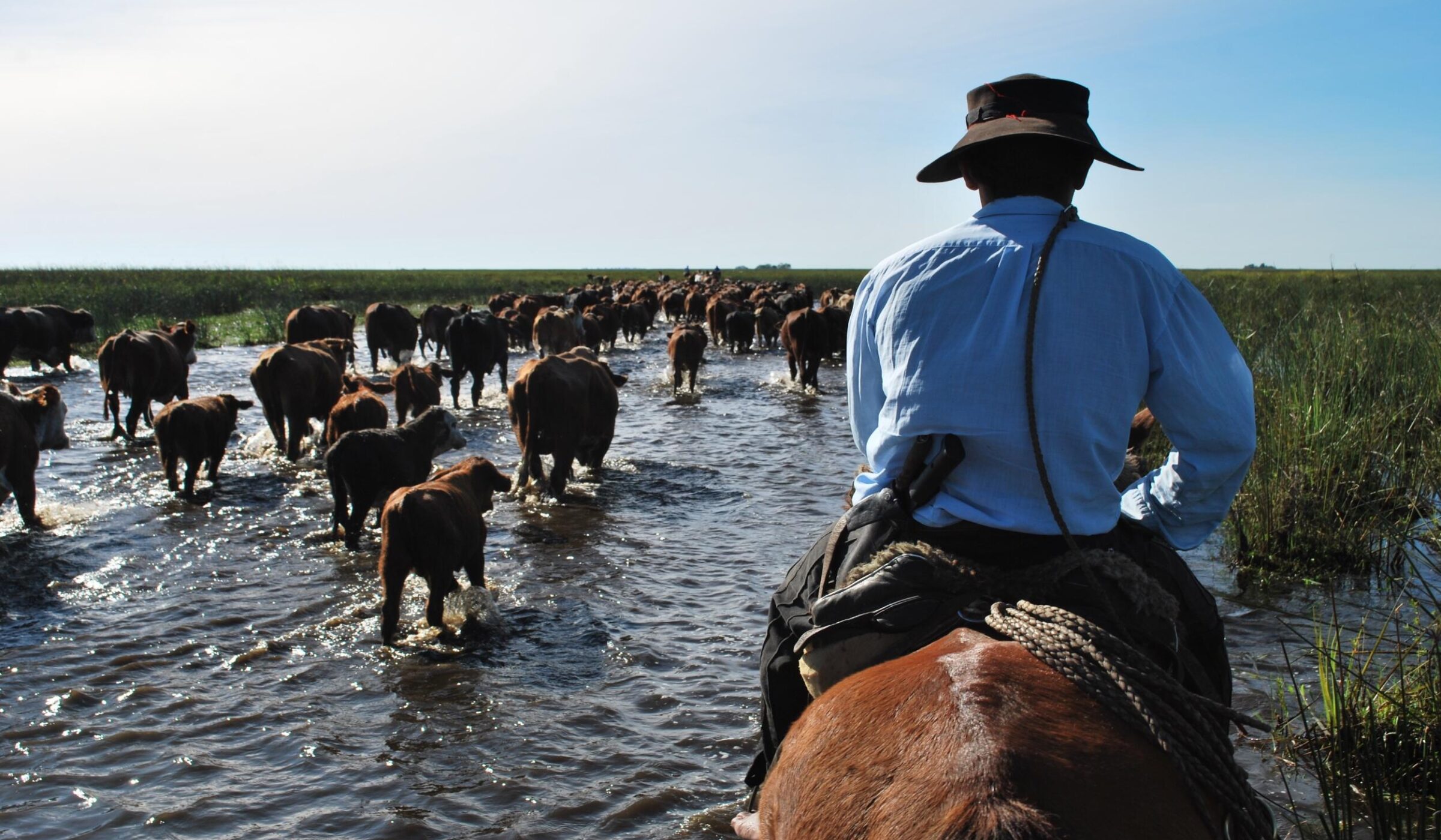 Enjoy two nights in the Ibera Wetlands